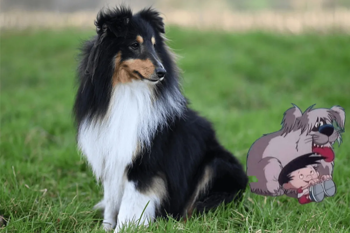 cãe dos desenhos animados.