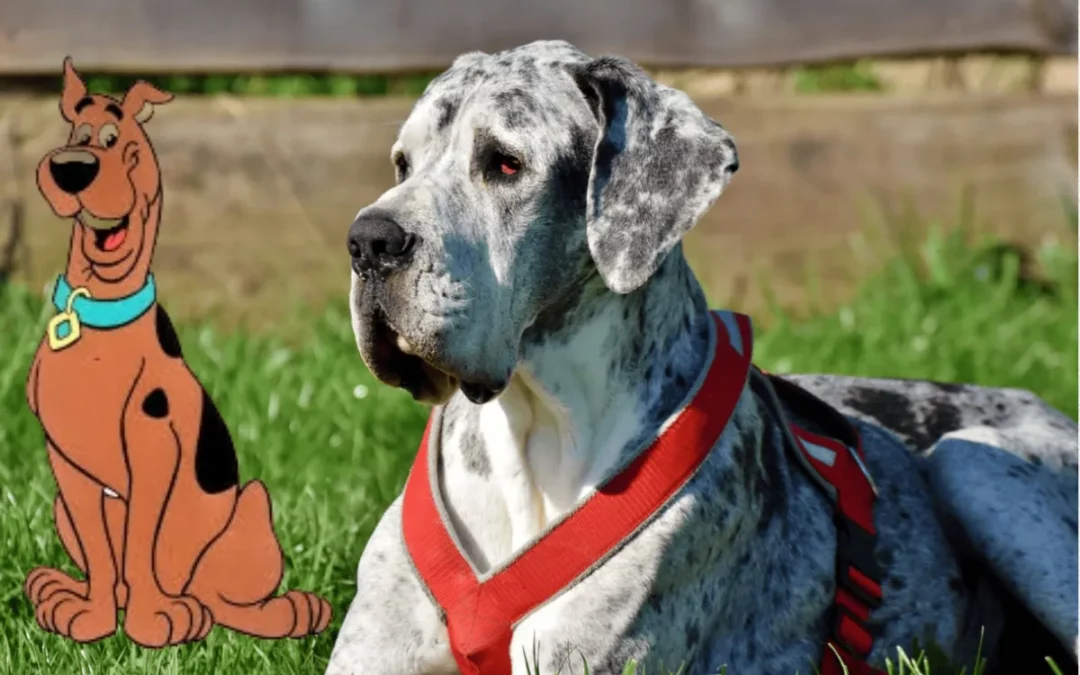 Cães famosos da TV: 8 raças que inspiraram figuras icônicas de desenhos animados