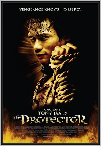 Poster do filme "O Protetor" (2005)