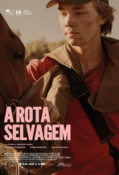 Pôster da série