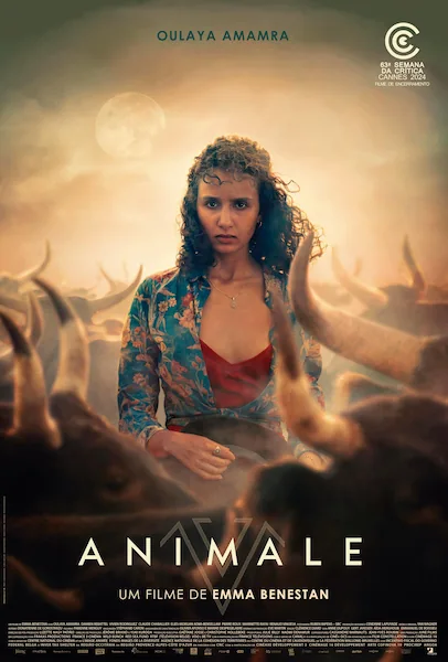 Pôster da série