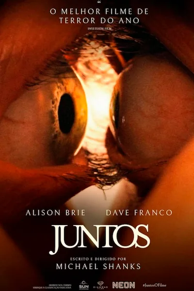 Pôster da série