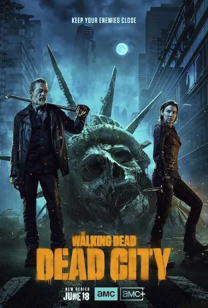 Pôster da série