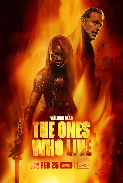 Pôster da série