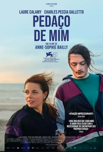 Pôster da série
