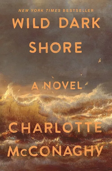 Capa do livro "Wild Dark Shore", de Charlotte McConaghy